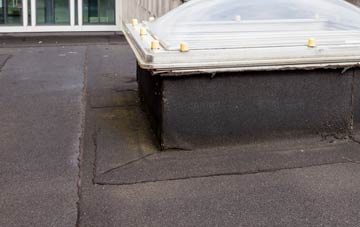 disadvantages of Alexandria flat roofs