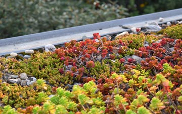 the cost of Alexandria green roof installation