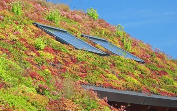Alexandria living roof systems