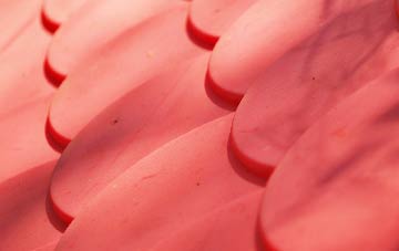 Alexandria plastic roof costs