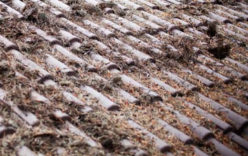 Alexandria roof cleaning companies