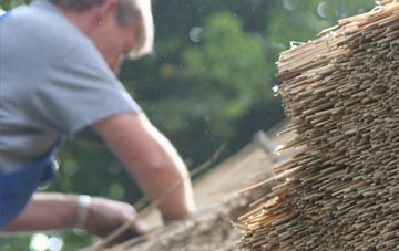 professional Alexandria thatchers