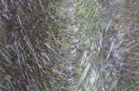 Alexandria fibreglass roof work